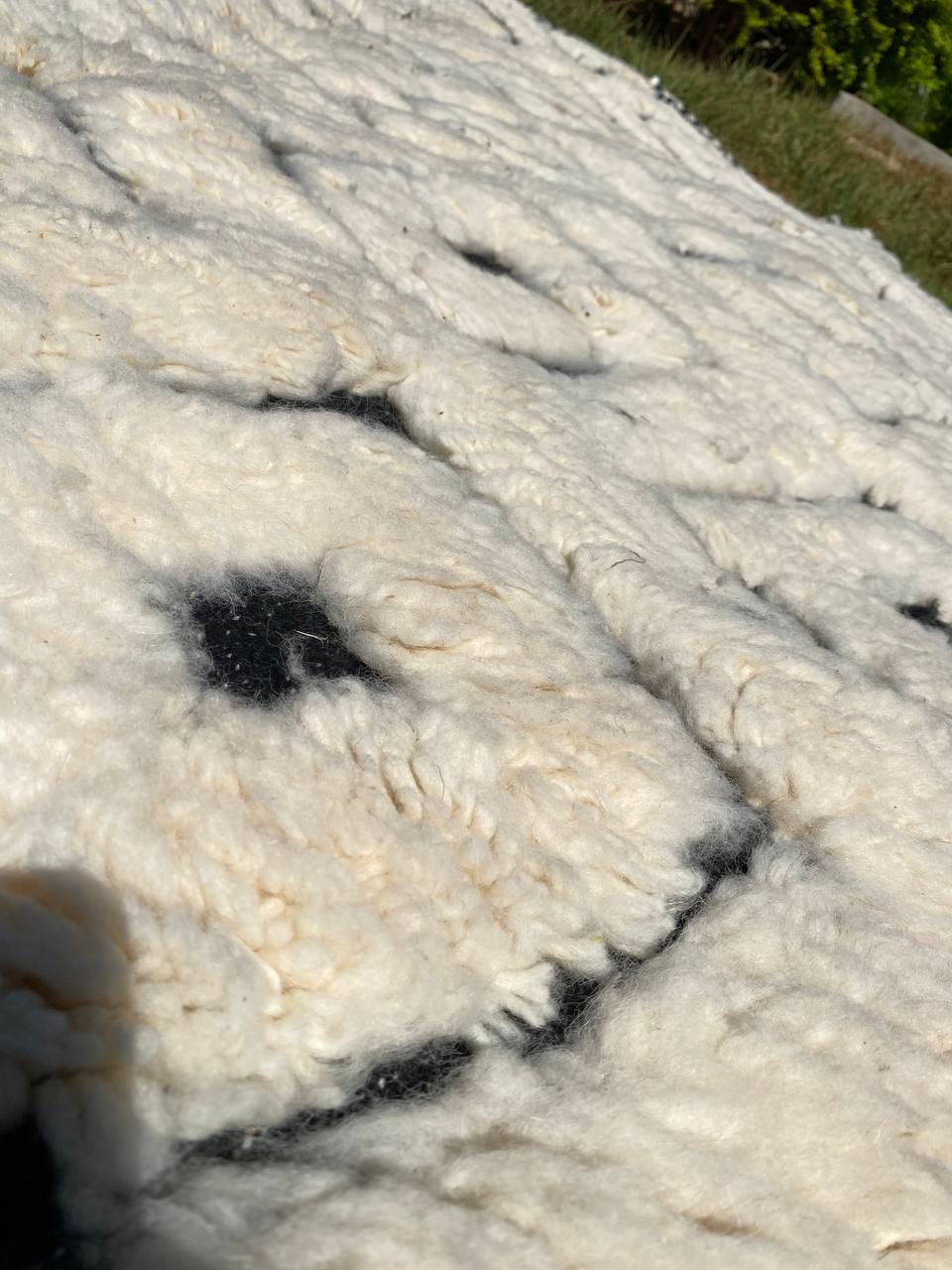 Moroccan black and  white carperts