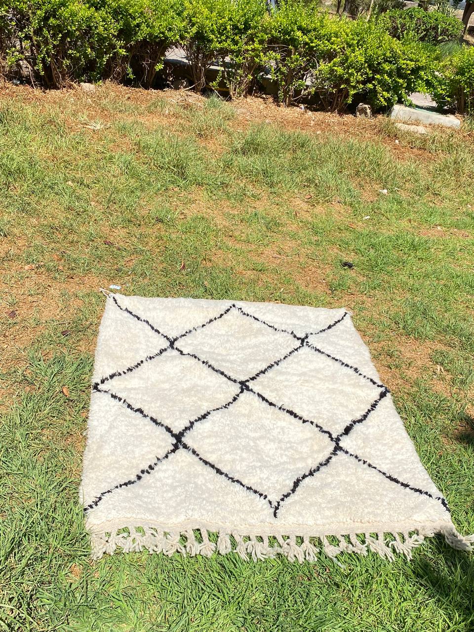 Beni ourain morrocan rugs